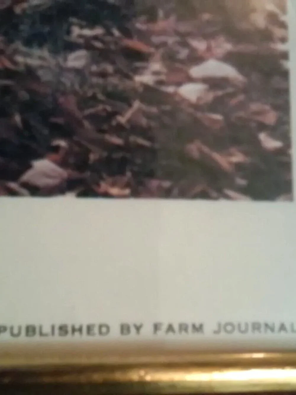 Picture In Dark Wood Frame Pub by Farm Journal 16